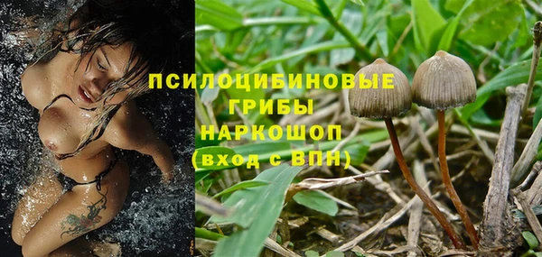 прущая мука Верея