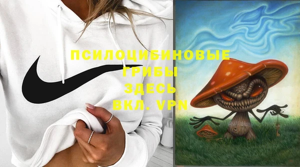 прущая мука Верея