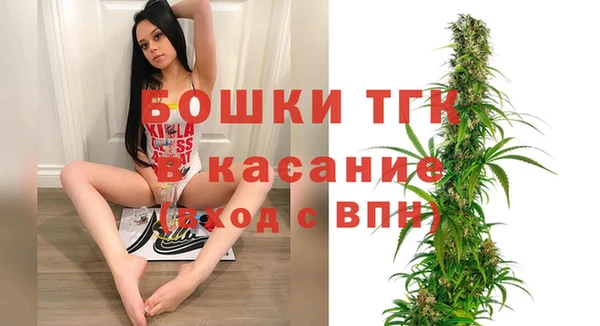 сатива Бронницы